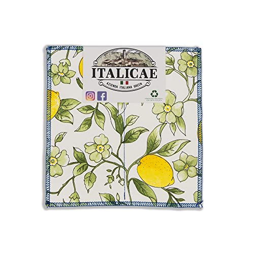 ITALICAE - spugna cucina MADE IN ITALY - Spugna antigraffio 1PZ fantasia limoni 20x20cm - Ultra assorbenti sono perfette per ogni superficie anche le più delicate o come spugne piatti