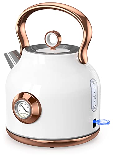 NESSGRAIM Bollitore retrò, bollitore da 1,7 l, in acciaio inox, con grande indicatore di temperatura, 2200 W, riscaldamento rapido con indicatore LED, spegnimento automatico (bianco), K59-B